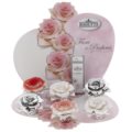 Kit esposizione 12 pezzi