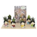expokit - 6 pcs