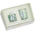 fiori - verde - lavanda