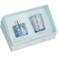 foglie - azzurro - cannella