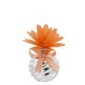 cm 5,5x6 - arancione