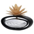 cm 16x7 - tortora