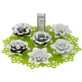 Kit esposizione 6 pezzi