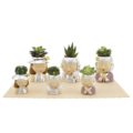 expokit - 6 pcs