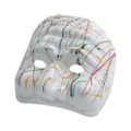 cm 11 h 11 - white decor