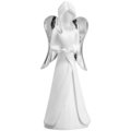 h cm 12,5 - silver wings