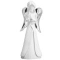 h cm 12,5 - silver wings