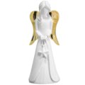 h cm 12,5 - golden wings