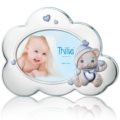 Thilia argenti