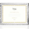 Picture frames cm 30x40 - silver cm 2,5