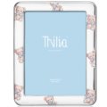 Thilia argenti