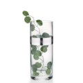 Glassware h cm 30