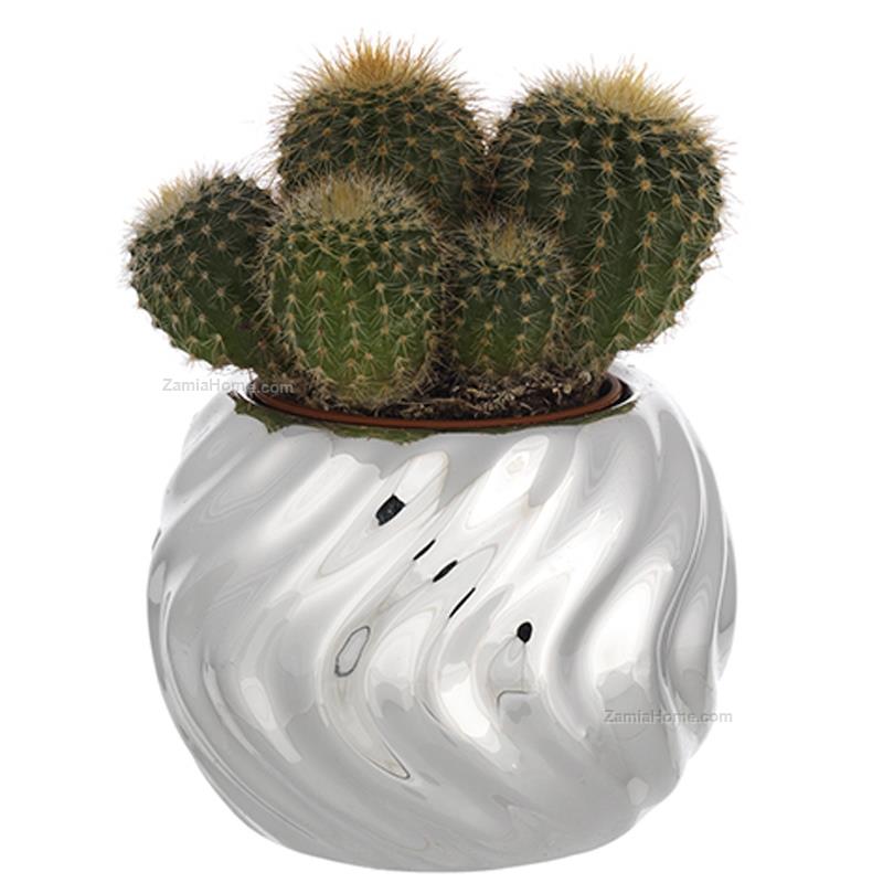 Sfera portavaso
