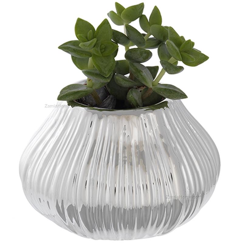 Vaso cipolla