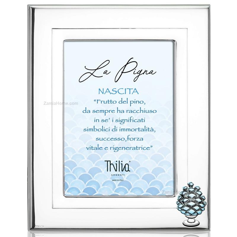 Photoframe pinecone birth