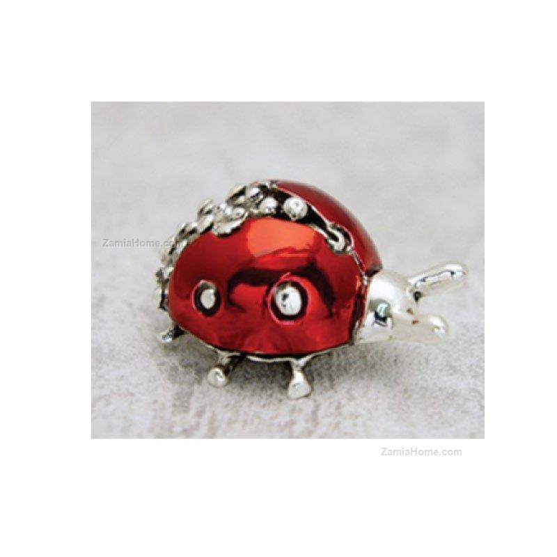 Ladybug with wings
