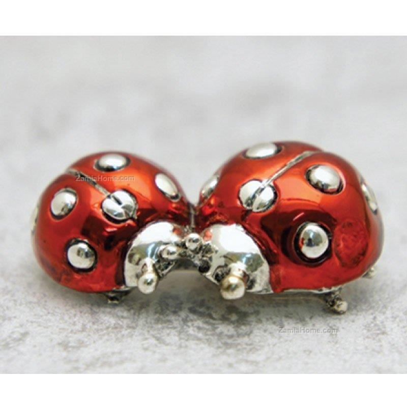 Ladybugs pair
