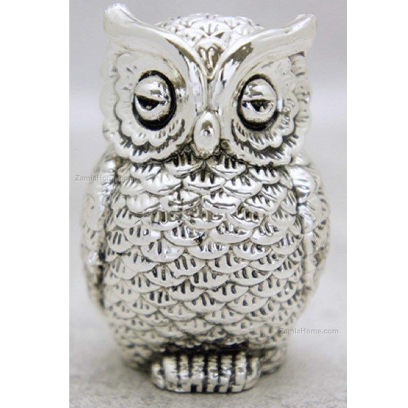 Medium size owl