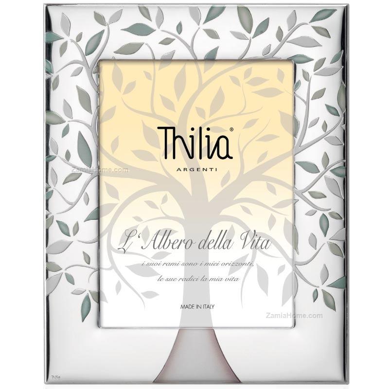 Photoframe tree of life