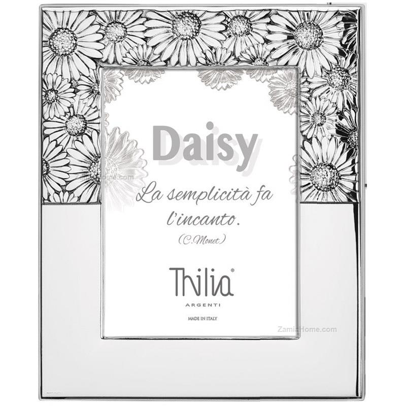 Photoframe daisy
