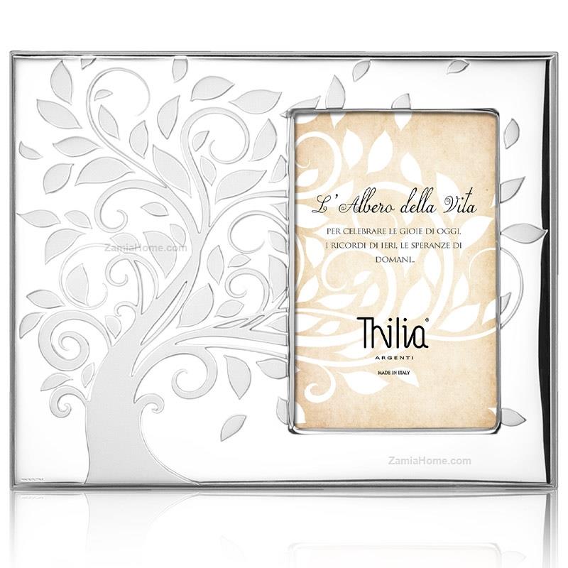 Photoframe tree of life