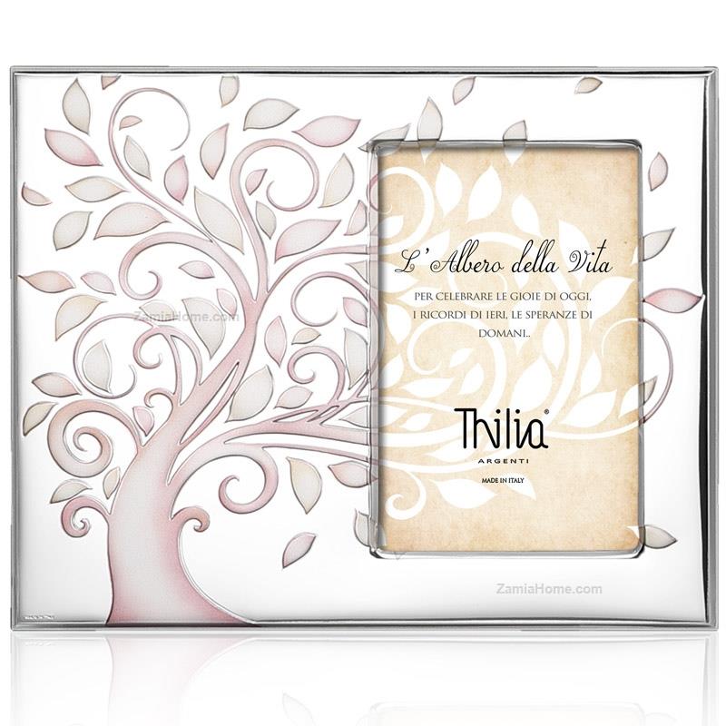 Photoframe tree of life