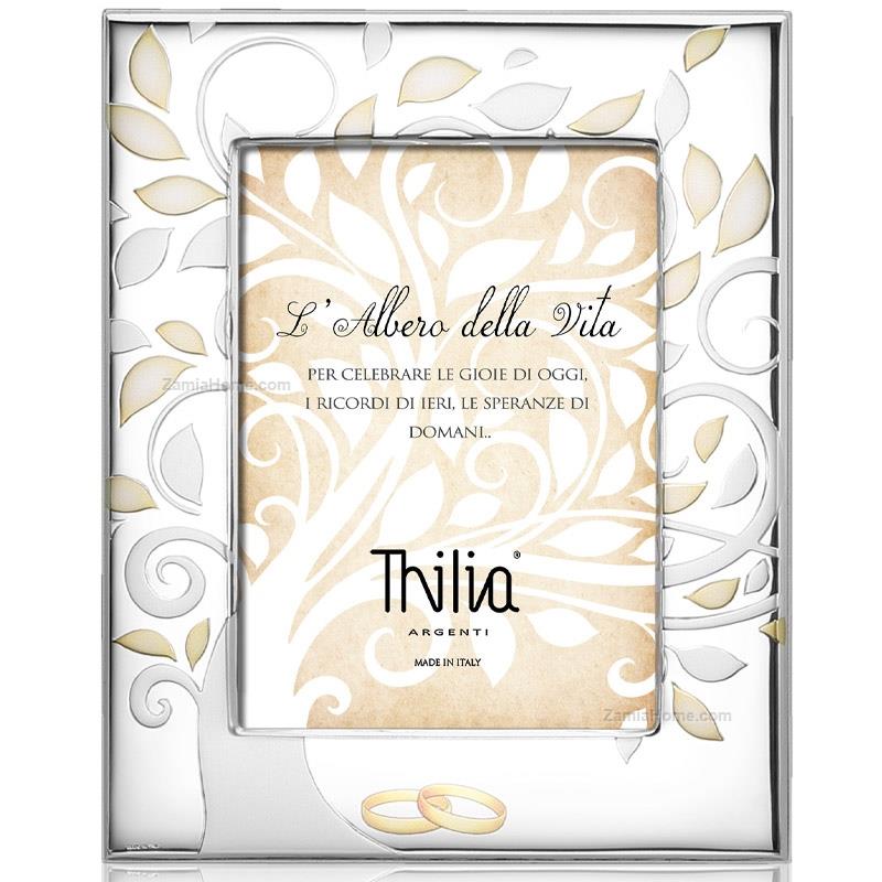Photoframe wedding
