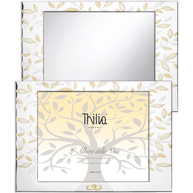 Photoframe/mirror tree of life