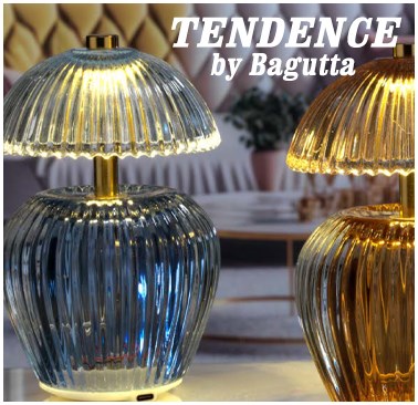 6p3-picc-ban-zam.jpg ZamiaHome