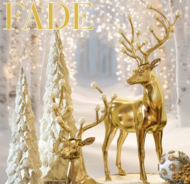 v65-bann-pic-fade.jpg ZamiaHome